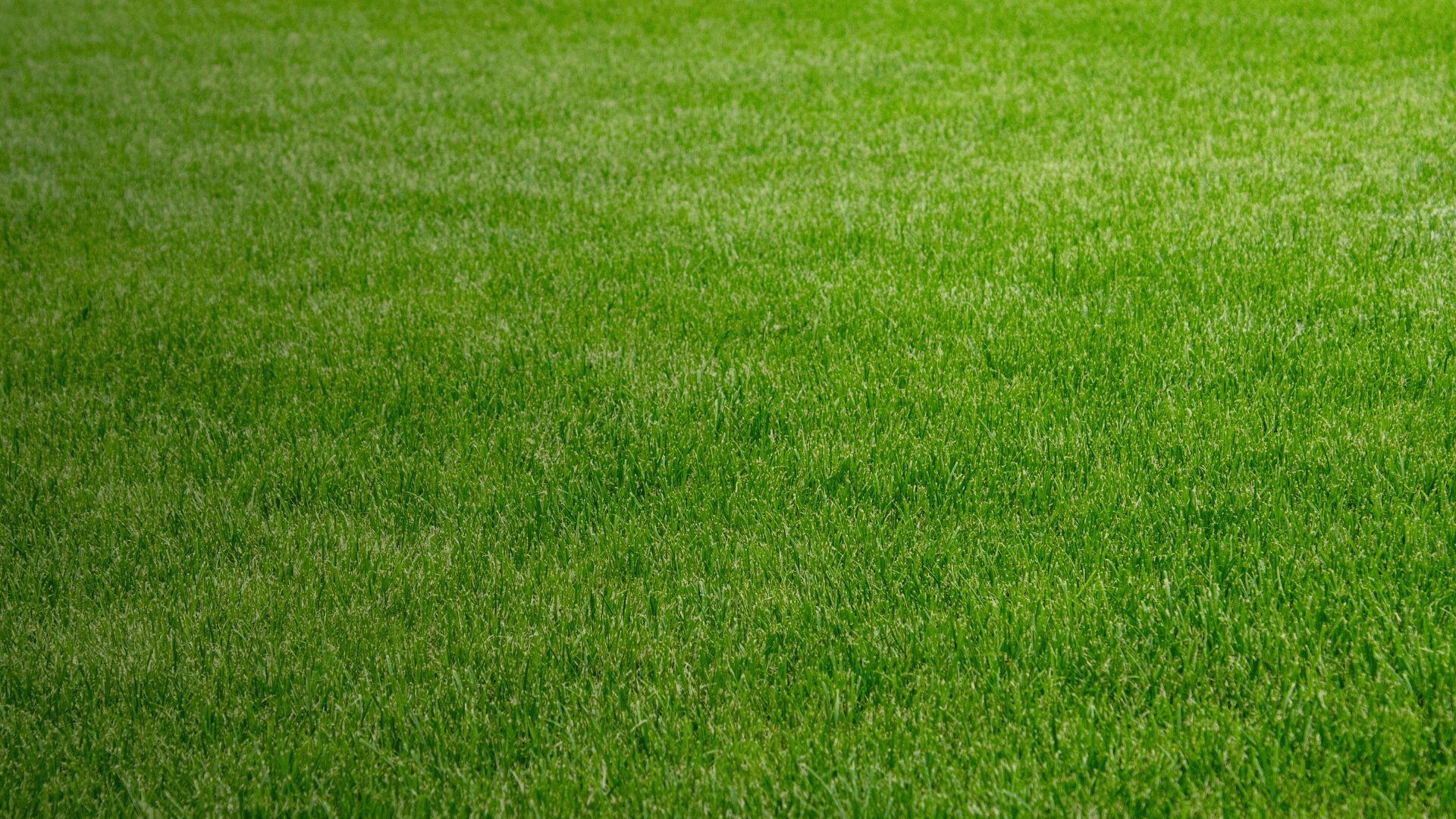 Abreu Advogados advises Peninsular Soccer Lda on the sale of a majority stake in Amora FC SAD
