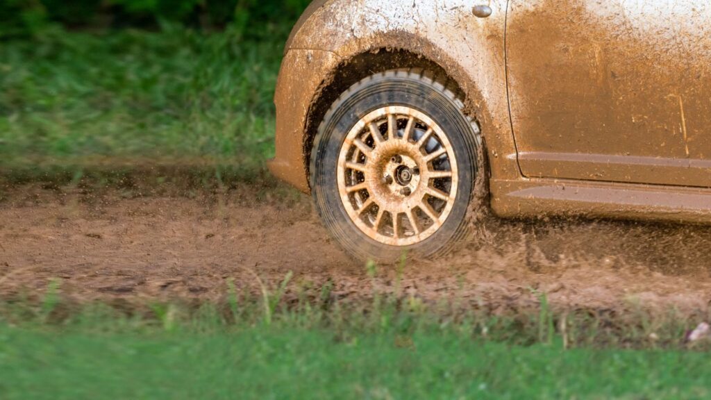 Tribunal Constitucional confirma título de campeão nacional de Kris Meeke