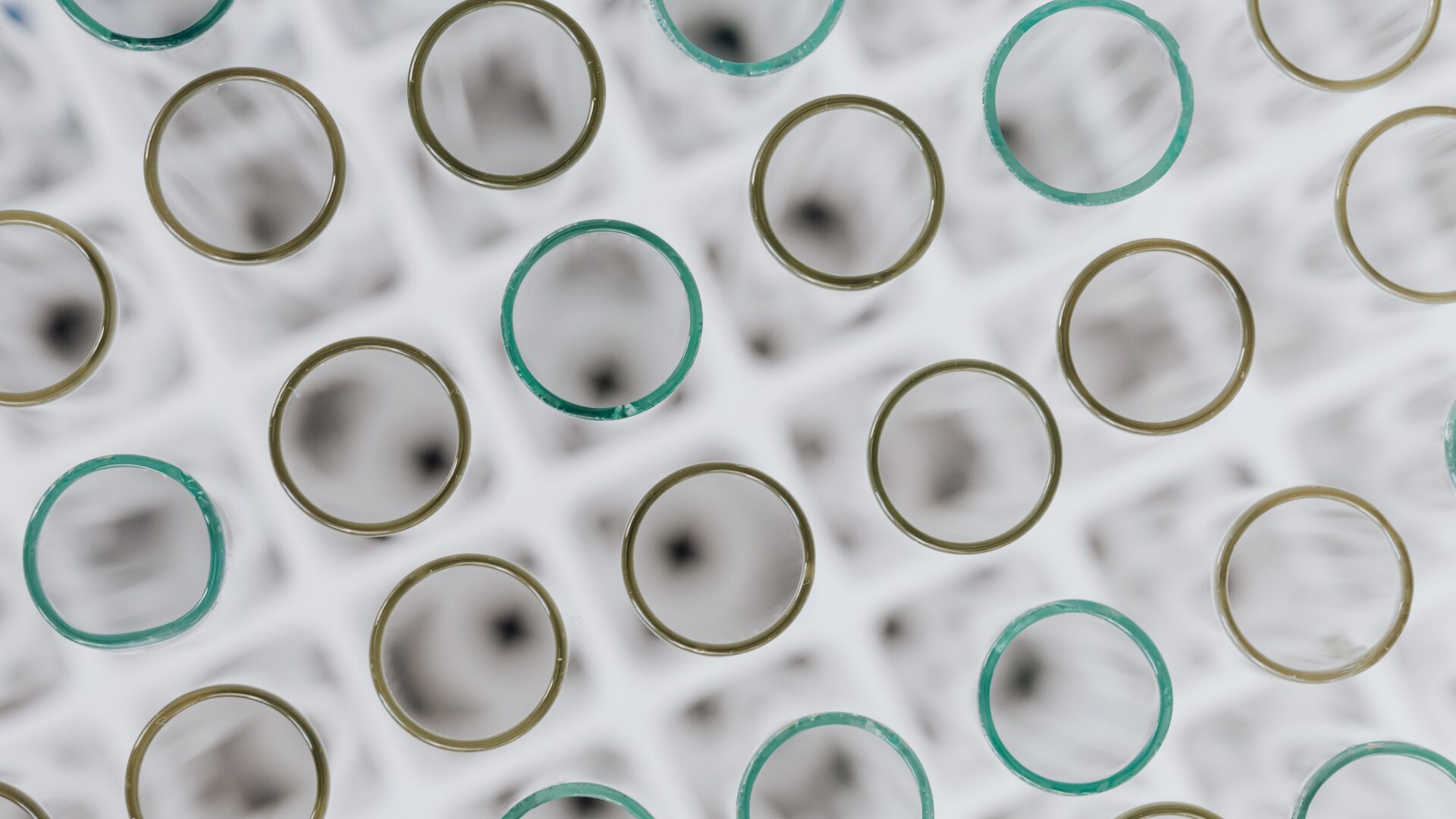 European Commission focuses on strengthening the role of scientific research in Europe’s development