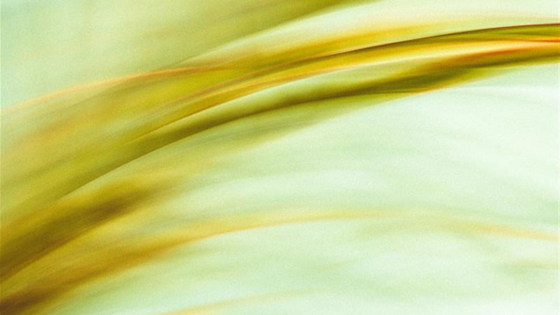 Energy Law | Formação ELSA Portugal