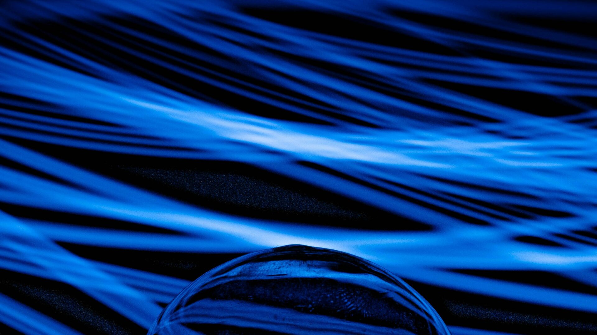 Prémio Nobel, Destruição Criativa e o Direito