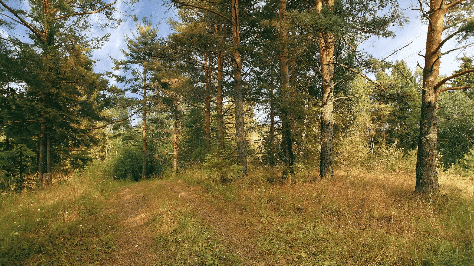 Postponement of the Entry into Force of the Rural Fuel Management Regulation