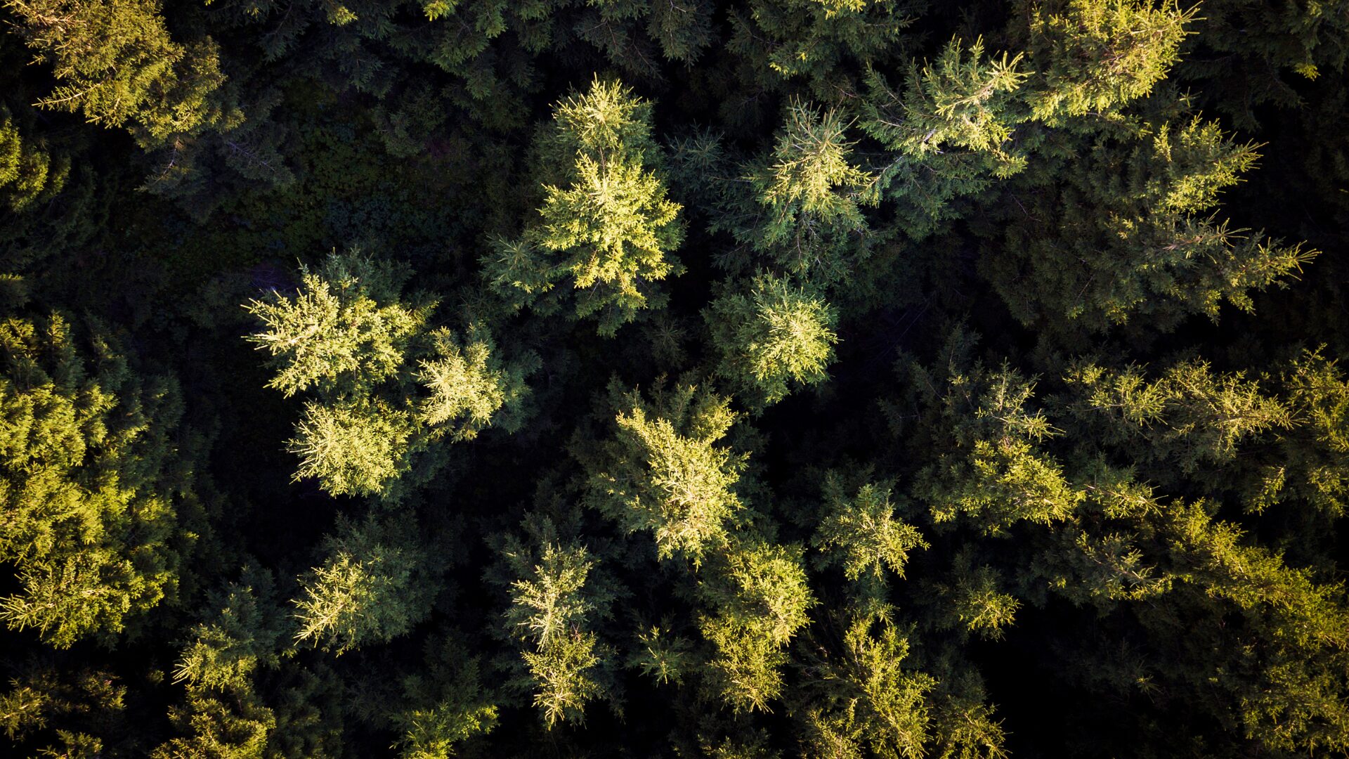 Campo Legal | 16 – 30 novembro