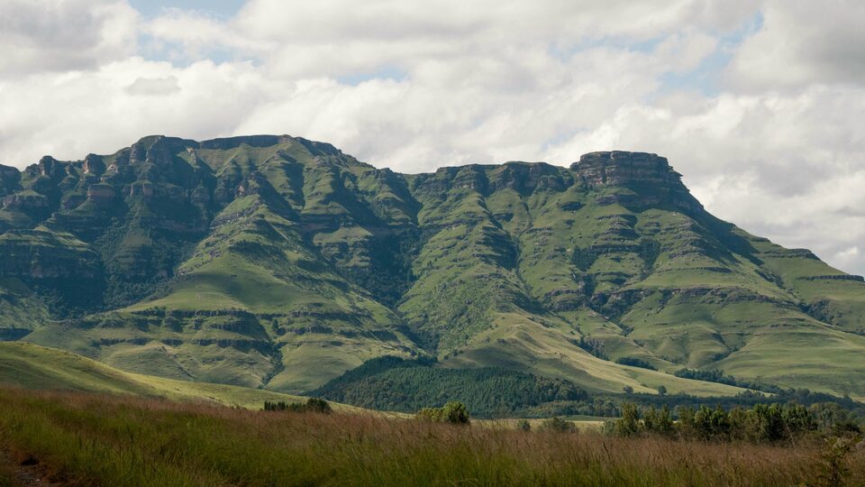 IFLR1000 2025 for Sub-Saharan Africa distinguishes Abreu Advogados partners