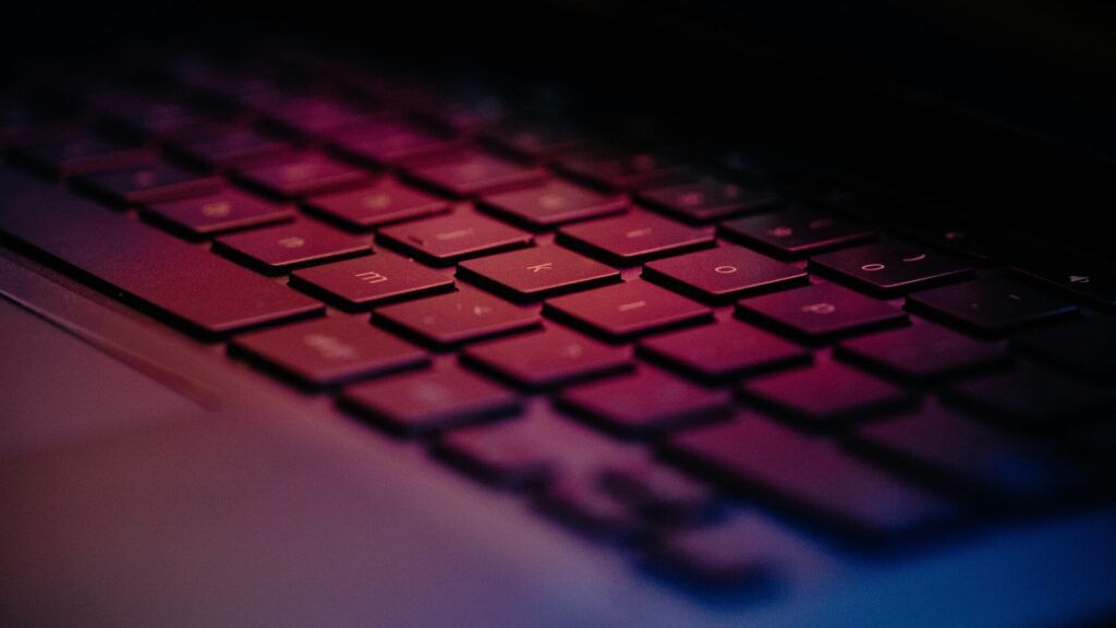 Combating the dissemination of terrorist content online: authorities, obligations and sanctions