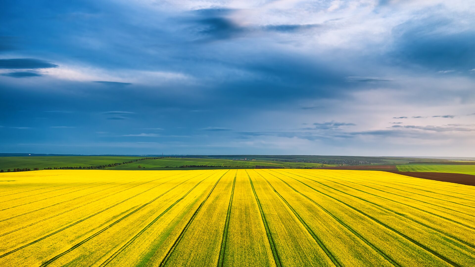 Campo Legal | 16 – 28 fevereiro