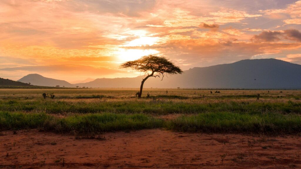 Abreu Advogados shortlisted for the Chambers Africa Awards 2026