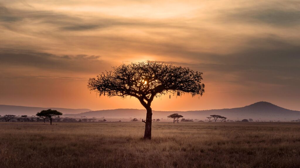 Abreu Advogados and Zara Jamal shortlisted for the African Legal Awards 2026